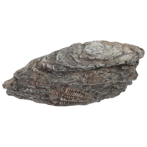 TOPPERFUN Sammlerstück Aus Paläontologischem Trilobit-harz Robustes Und Detailliertes Dekorationsstück von TOPPERFUN
