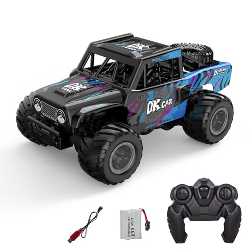 TOUCAN RC HOBBY 1/18 4 * 4 RC Geländewagen 2,4G Fernbedienung Crawler Q191 Amphibisches Geländewagen Gesteuert 360 Rotation Stunt-Auto Modell RTR Outdoor von TOUCAN RC HOBBY
