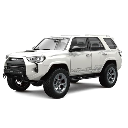 TOUCAN RC HOBBY 1/18 4x4 RC Offroad-Fahrzeuge HG4 209 Allradantrieb Fernbedienung Crawler Raucheinheit Lichter Geräusche Ölgefüllter Stoßdämpfer von TOUCAN RC HOBBY