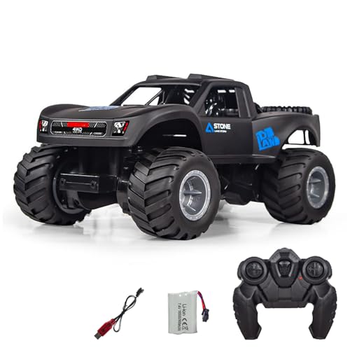TOUCAN RC HOBBY 2,4 GHz RC Amphibien-Geländewagen Q156 1/16 Fernbedienung Allradantrieb 360° Drehung Wasserdichtes Stuntauto RTR Batterie Outdoor von TOUCAN RC HOBBY