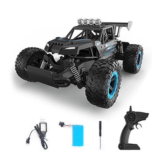 TOUCAN RC HOBBY Kunststoff 1/16 Ferngesteuertes Rennauto Q102 4WD RC On Road Fahrzeugmodell Spielzeug Geschenke für Erwachsene Multiplayer Kein Soundsystem Für besondere Geschenke von TOUCAN RC HOBBY