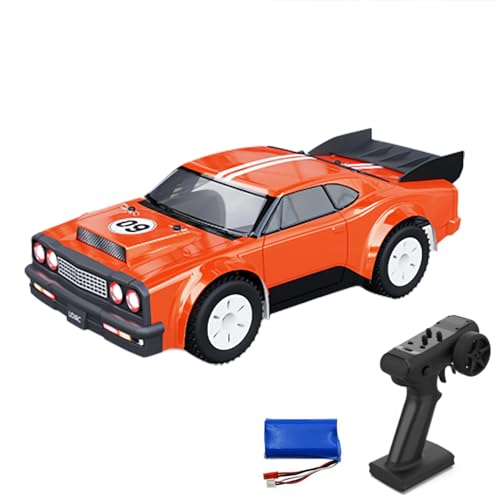 TOUCAN RC HOBBY UdiRC 1/16 Ferngesteuertes Drift-Auto UD1609Pro 45 km/h 17G Servo Bürstenloser Motor 60A ESC Metallgetriebe Gyroskop RC-Modellspielzeug RTR Outdoor von TOUCAN RC HOBBY