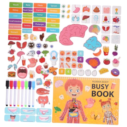 1 Set Cartoon Aufkleber Für Die Früherziehung Buchdekor Für Aufkleber Für Buchaufkleber DIY Aufkleberbuch Lernbuch Für Den Menschlichen Körper Erkenntnisaufkleber Papier TOYANDONA 1 Set Cartoon Aufkleber Für Die Früherziehung Buchdekor Für Aufkleber Für Buchaufkleber DIY Aufkleberbuch Lernbuch Für Den Menschlichen Körper Erkenntnisaufkleber Papier TOYANDONA von TOYANDONA