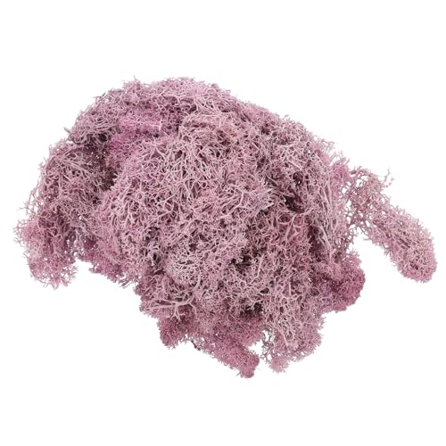 TOYANDONA 1 Ewige Moos-Mikrolandschaft künstliches Moos künstliches grünes Moos wohnungsdeko wohnraumdeko dekomoose Pflanzenhandwerk natürliches Moos für Pflanzen konservierte Violet TOYANDONA 1 Ewige Moos-Mikrolandschaft künstliches Moos künstliches grünes Moos wohnungsdeko wohnraumdeko dekomoose Pflanzenhandwerk natürliches Moos für Pflanzen konservierte Violet von TOYANDONA