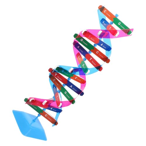 TOYANDONA 1 Satz DNA-Modell Biologiespielzeug molekular Science Toys Wissenschaftliches schaufensterpuppe Werkzeug Hilfsmittel für den Biologieunterricht Wissenschaftsmodell Metall TOYANDONA 1 Satz DNA-Modell Biologiespielzeug molekular Science Toys Wissenschaftliches schaufensterpuppe Werkzeug Hilfsmittel für den Biologieunterricht Wissenschaftsmodell Metall von TOYANDONA