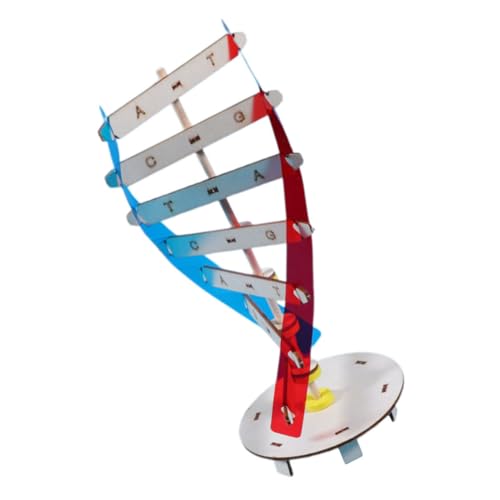 TOYANDONA 1 Satz Genmodell lernspielzeug Science Toys Wissenschaftsspielzeug wissenschaftliches Lernspielzeug Komponenten DNA-Wissenschaftsmodell DIY-Lernwerkzeug Holz Colorful von TOYANDONA