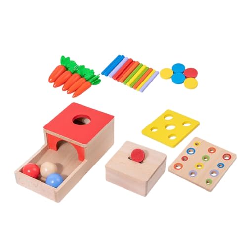 TOYANDONA 1 Satz Lernspielzeug aus Holz holzspielzeug Sensory Toys sensorisches Kreatives für Bildungsspielzeug kognitives für hölzern von TOYANDONA