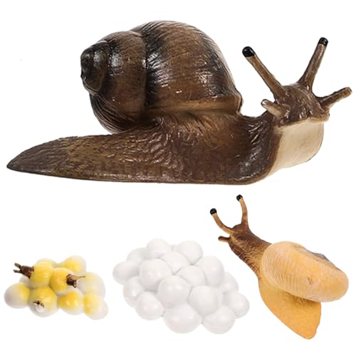 TOYANDONA 1 Satz Tierischer Wachstumszyklus Simulationsschneckendekor Auf Schneckenmodell Schneckenzyklus-Modell Mini-schneckenfiguren Spiele Tierwachstumszyklusmodelle Musical PVC von TOYANDONA