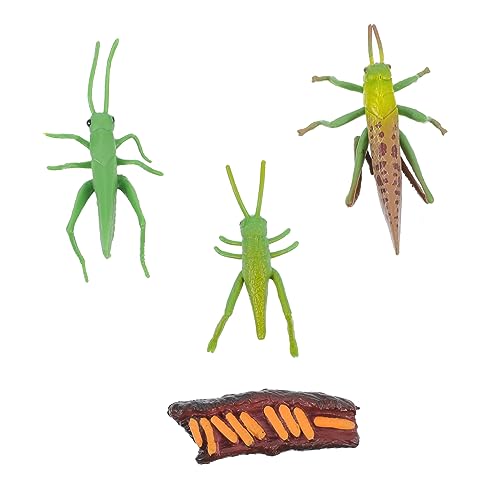 TOYANDONA 1 Satz Wachstumszyklus hühner kinderspielzeuge gieskanne kinderspielzeug kinderknallzeug ziernieten Cricket-Lebenszyklusfiguren Lebenszyklusmodelle Plastik TOYANDONA 1 Satz Wachstumszyklus hühner kinderspielzeuge gieskanne kinderspielzeug kinderknallzeug ziernieten Cricket-Lebenszyklusfiguren Lebenszyklusmodelle Plastik von TOYANDONA
