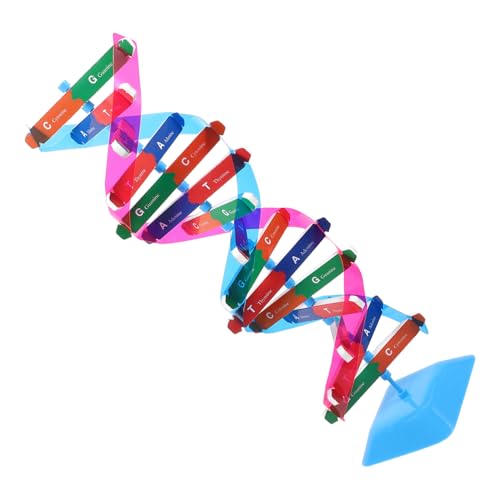 TOYANDONA 1 Satz wissenschaftliches Doppelhelix-Modell Science Toys Wissenschaftliches molekular Werkzeug schaufensterpuppe zusammenbauen wissenschaftliches Lernspielzeug von TOYANDONA