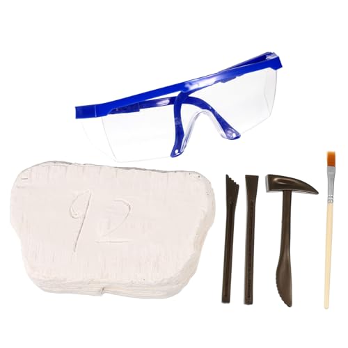 TOYANDONA 1 Satz zum Ausgraben von Fossilien Dinosaurierspielzeug kinderspielzeug für Toys kleines Grabspielzeug Ausgrabungsspielzeug Plastik TOYANDONA 1 Satz zum Ausgraben von Fossilien Dinosaurierspielzeug kinderspielzeug für Toys kleines Grabspielzeug Ausgrabungsspielzeug Plastik von TOYANDONA