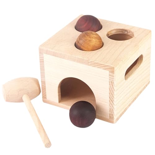 TOYANDONA 1 Set Box Für Babys Kinderspielzeug Klopfbälle Lernspielzeug Früherziehungsspielzeug Ballwurfspielzeug Für Kleinkinder 1 3 Holz TOYANDONA 1 Set Box Für Babys Kinderspielzeug Klopfbälle Lernspielzeug Früherziehungsspielzeug Ballwurfspielzeug Für Kleinkinder 1 3 Holz von TOYANDONA