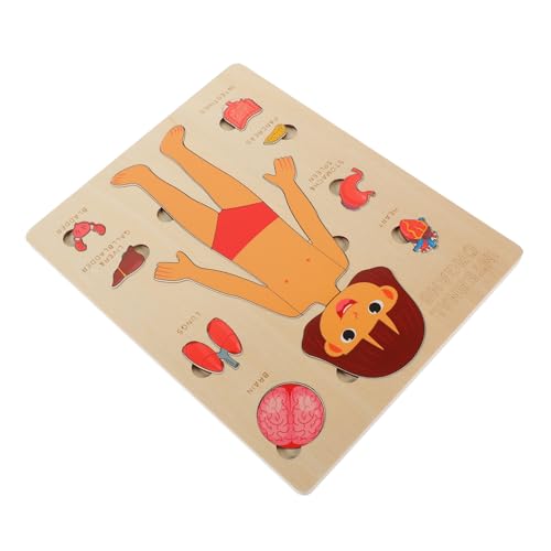 TOYANDONA 1 Set Puzzle Zur Struktur des Menschlichen Körpers Kinderspielzeug Werkzeuge Für Puzzles Kinderwerkzeuge Puzzle Zu Menschlichen Organen Erkennungsspielzeug Für Menschliche von TOYANDONA
