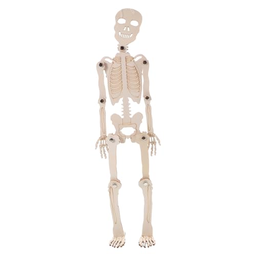 TOYANDONA 1 Set Skelettmodell Zappelskelette Interaktives Basteln Wurstständer Studienminiaturen Schaufensterpuppe Realistische Tierfigur Werkzeuge Skelett Ornament TOYANDONA 1 Set Skelettmodell Zappelskelette Interaktives Basteln Wurstständer Studienminiaturen Schaufensterpuppe Realistische Tierfigur Werkzeuge Skelett Ornament von TOYANDONA