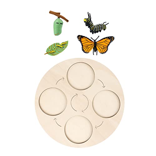TOYANDONA 1 Set Tierwachstumszyklus Die Tierspielzeugmodelle Tiere Schmetterlinge Wachstumszyklus Figur Tierzyklus Figur Tierzyklusmodell Tierlebenszyklusmodell Tierlebenszyklusfigur TOYANDONA 1 Set Tierwachstumszyklus Die Tierspielzeugmodelle Tiere Schmetterlinge Wachstumszyklus Figur Tierzyklus Figur Tierzyklusmodell Tierlebenszyklusmodell Tierlebenszyklusfigur von TOYANDONA