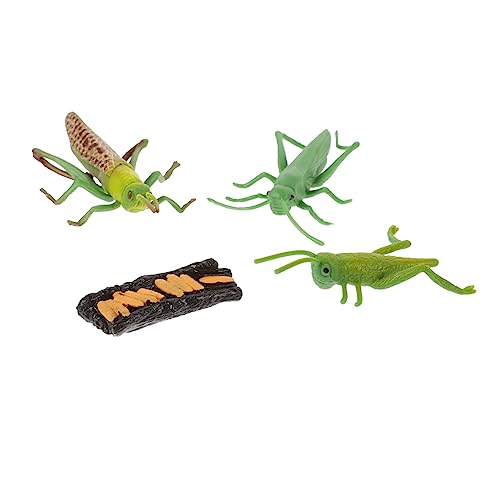 TOYANDONA 1 Set Wachstumswoche Insektenmodell Wachstumszyklusmodell Frühes Lernspielzeug Märchengarten Miniaturen Blumentopf Ornamente Figuren Modelle Kunststoff TOYANDONA 1 Set Wachstumswoche Insektenmodell Wachstumszyklusmodell Frühes Lernspielzeug Märchengarten Miniaturen Blumentopf Ornamente Figuren Modelle Kunststoff von TOYANDONA
