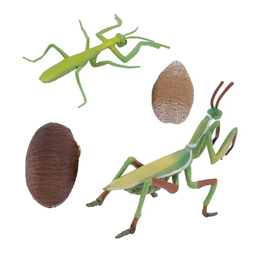 TOYANDONA 1 Set Wachstumszyklus Mantis Modell Figur Simuliertes Tiermodell Tiere Figur Mantis Modell Tierfigur Lernspielzeug Kinderspielzeug PVC TOYANDONA 1 Set Wachstumszyklus Mantis Modell Figur Simuliertes Tiermodell Tiere Figur Mantis Modell Tierfigur Lernspielzeug Kinderspielzeug PVC von TOYANDONA