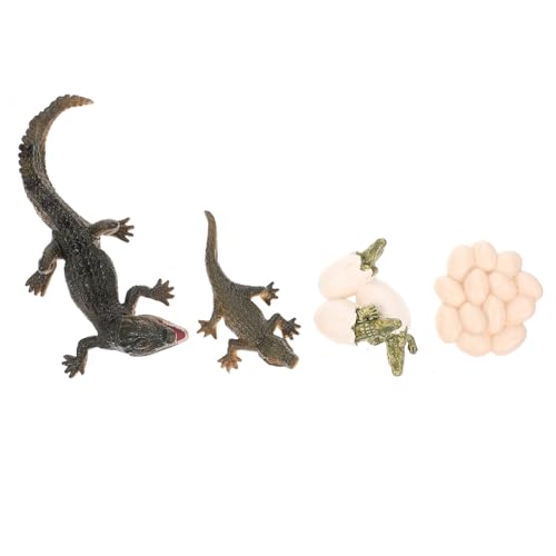 TOYANDONA 1 Set Wachstumszyklus Modell Tiermodelle Das Tier Realistisches Lebenszyklus Modell Krokodil Lebenszyklus Figur Lebenszyklus Figur des Krokodil Tier Früherziehungsmodells Aus TOYANDONA 1 Set Wachstumszyklus Modell Tiermodelle Das Tier Realistisches Lebenszyklus Modell Krokodil Lebenszyklus Figur Lebenszyklus Figur des Krokodil Tier Früherziehungsmodells Aus von TOYANDONA