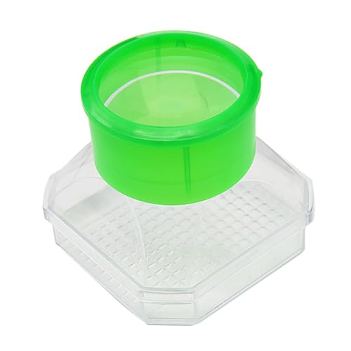 TOYANDONA 1 Stück Packung Lupe Magnifier vergrösserungsspiegel ladycup vergrösserungsbrillen Ladybug vergrösserungsglas Magnifying Glasses Insekten Box Exploration Viewer Zuschauer TOYANDONA 1 Stück Packung Lupe Magnifier vergrösserungsspiegel ladycup vergrösserungsbrillen Ladybug vergrösserungsglas Magnifying Glasses Insekten Box Exploration Viewer Zuschauer von TOYANDONA