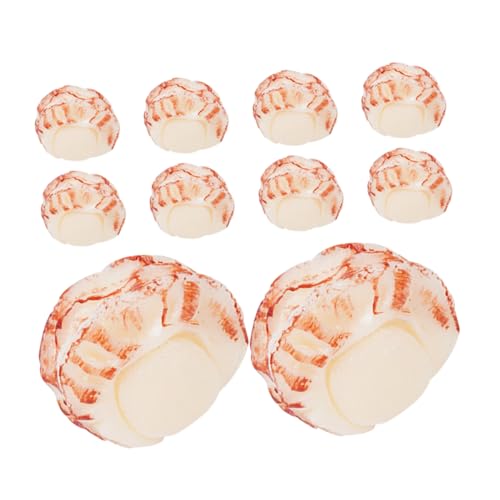 TOYANDONA 10 Stück Teiliges Miniatur Küchen Spielset mit Realistischen Simulation Meeresfrüchte Muschelfleisch für Kreatives Kochen Basteln und Interaktives Rollenspiel von TOYANDONA