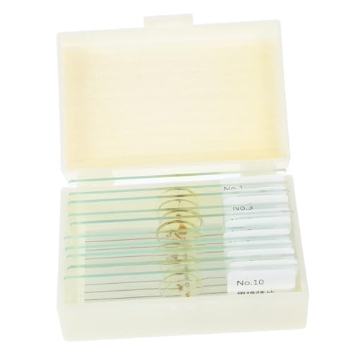 TOYANDONA 10 Stück Teiliges Präparierter Insekten Mikroskop Objektträger für Sichere Praktische Biologie Slides mit Insektenproben für Mikrobiologie Unterricht und Experimente von TOYANDONA