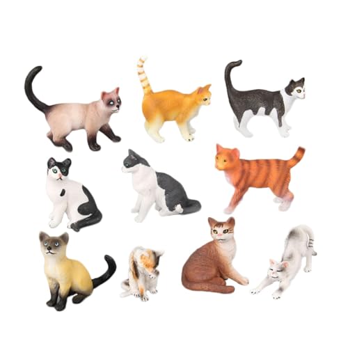 TOYANDONA 10er Set Katzenfiguren Für Realistische Katzenmodelle Aus Ideale Deko Für Kindergeburtstage Sammlerstücke Und Für Kleine Katzenliebhaber TOYANDONA 10er Set Katzenfiguren Für Realistische Katzenmodelle Aus Ideale Deko Für Kindergeburtstage Sammlerstücke Und Für Kleine Katzenliebhaber von TOYANDONA