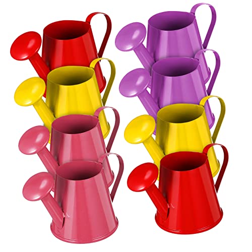 TOYANDONA 12 Stück Mini Gießkannen Superklein Zum Ausgießen Und Besprühen Im Innenbereich Kleine Miniatur Gießkannen Vorschulkinder Gießkanne Kleine Badespielzeug Gartengießkanne von TOYANDONA