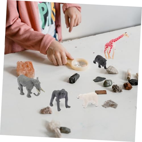 TOYANDONA 12 Stück Teiliges Miniatur Waldtiere Figuren aus Robustem Realistische Wildtiere für Bildung und Dekoration Tragbar und Langlebig Geeignet für Zuhause und Schule TOYANDONA 12 Stück Teiliges Miniatur Waldtiere Figuren aus Robustem Realistische Wildtiere für Bildung und Dekoration Tragbar und Langlebig Geeignet für Zuhause und Schule von TOYANDONA