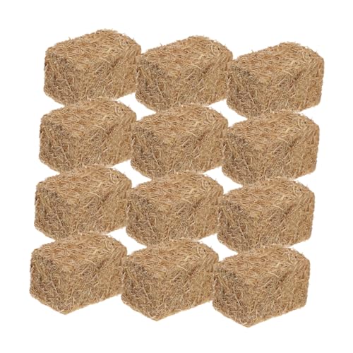 TOYANDONA 12 Stücke Mini Gefälschte Heu Für Handwerk Mini Ornament Lebensechte von TOYANDONA