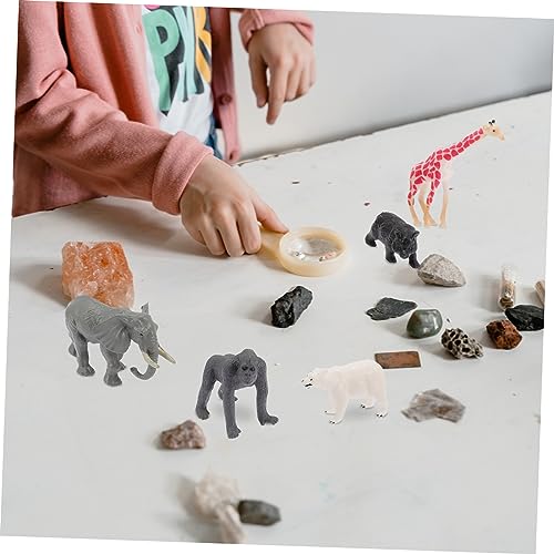 TOYANDONA 12st Waldtiermodell Tierlernfigur Tierfiguren Realistische Waldtiere Elefantenfiguren Tiere Für Kinder Kleine Spielzeuge Für Kinder Giraffenfiguren Modelle Puzzle Ornamente Plastik von TOYANDONA