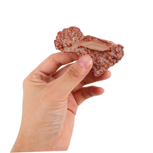 TOYANDONA 18 Stück Teiliges Realistisches Spiel Fleisch Modell aus Stabilem Kunststoff Täuschend Echte Simulation für Küchen und Restaurantdekoration Vielseitige Deko für Fotografie Miniatur TOYANDONA 18 Stück Teiliges Realistisches Spiel Fleisch Modell aus Stabilem Kunststoff Täuschend Echte Simulation für Küchen und Restaurantdekoration Vielseitige Deko für Fotografie Miniatur von TOYANDONA
