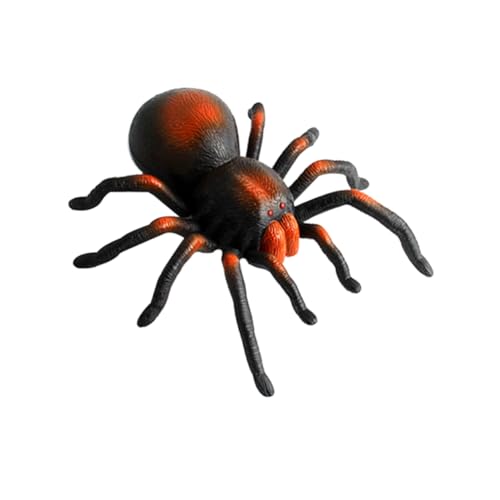 TOYANDONA 1Pc Rc Spinne Fernbedienung Spinne Halloween Spinne Schwarz TOYANDONA 1Pc Rc Spinne Fernbedienung Spinne Halloween Spinne Schwarz von TOYANDONA