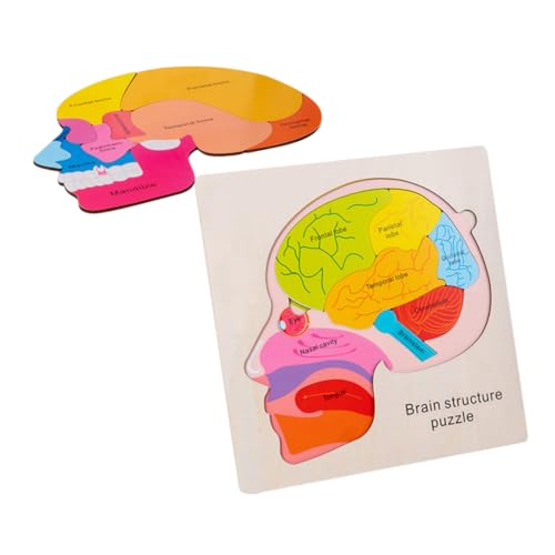 TOYANDONA 1Satz Gehirnstruktur Puzzle aus Holz Interaktives Kognitionsspielzeug für Frühe Bildung Sicheres Form Matching für Jungen und Mädchen für Kreative Lernspiele von TOYANDONA
