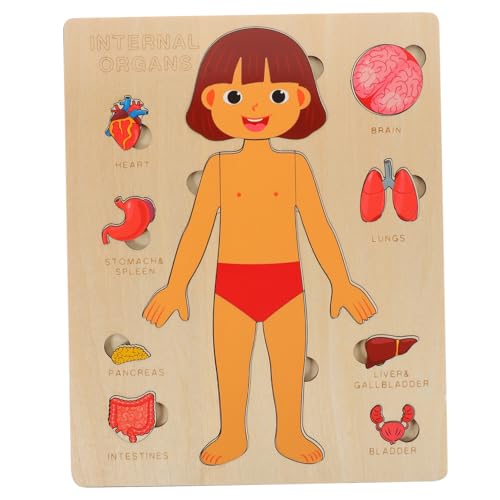 TOYANDONA 1Satz Holz Puzzle für Puzzle Spiel zur Erkennung Menschlicher Lernspielzeug für Jungen und Mädchen für Frühe Bildung TOYANDONA 1Satz Holz Puzzle für Puzzle Spiel zur Erkennung Menschlicher Lernspielzeug für Jungen und Mädchen für Frühe Bildung von TOYANDONA