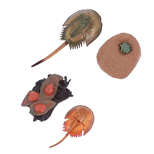 TOYANDONA Tier-evolutionsmodell Aus Realistische Tiermodell-dekor Frühlernspielzeug Für Junge Mädchen Wissenschaftliches Erkenntnisspielzeug Kinderspielzeug Mit Lustigen Tier Wachstum TOYANDONA Tier-evolutionsmodell Aus Realistische Tiermodell-dekor Frühlernspielzeug Für Junge Mädchen Wissenschaftliches Erkenntnisspielzeug Kinderspielzeug Mit Lustigen Tier Wachstum von TOYANDONA
