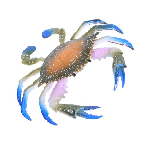 TOYANDONA Kunststoff Krabbenfigur für Kinder Meeresorganismus Realistische Spielzeugfigur Bunte Bastelarbeit für Aquarium und Schreibtisch Sicheres Material für Kreatives Spielen von TOYANDONA