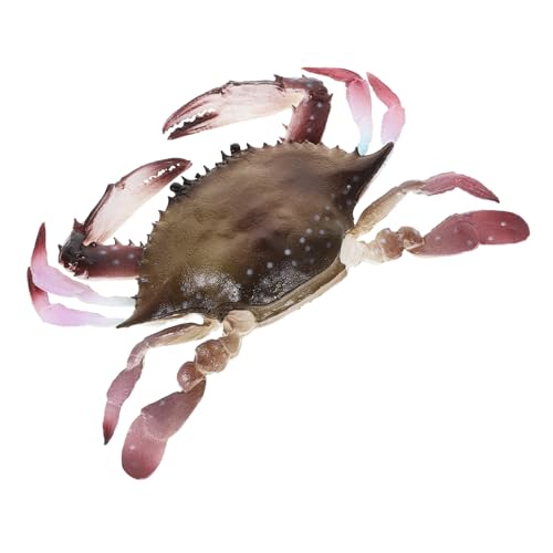 TOYANDONA 1Stück Lebensechte Krabbenfigur aus PVC Künstliches Krabbenmodell für Aquarien Dekoration und Lernspielzeug für Meeresliebhaber TOYANDONA 1Stück Lebensechte Krabbenfigur aus PVC Künstliches Krabbenmodell für Aquarien Dekoration und Lernspielzeug für Meeresliebhaber von TOYANDONA