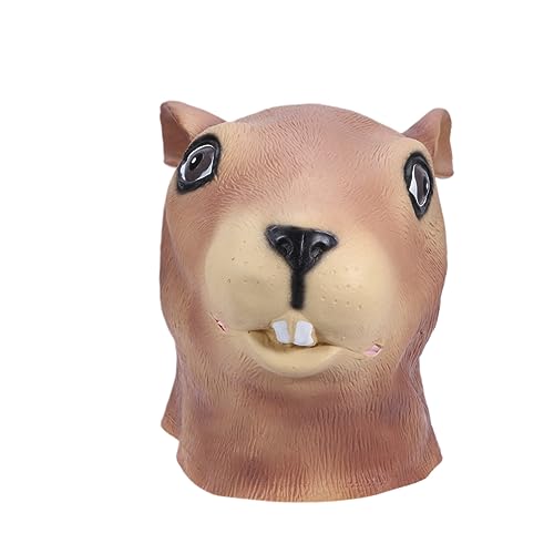 TOYANDONA 1stk Halloween-kopfbedeckung Halloween-emulsion Kostüm Eichhörnchen Maske Halloween-dekorationen Halloween-maskenmasken Halloweenkostüm Tiermasken Halloween-kostüm Eichhörnchen von TOYANDONA