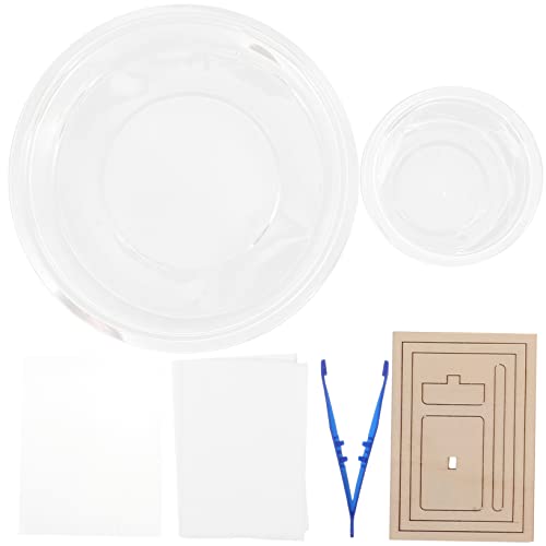 TOYANDONA 2 Sätze DIY Papierherstellung bastelset basteln für papiermache Kinderbasteln Deckle Streifen Tisch holzspielzeug Werkzeug anwesend Bastelrahmen selber Machen von TOYANDONA