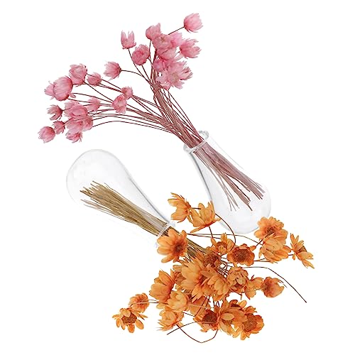 TOYANDONA 2 Set Miniatur Trockenblumen Arrangement Für Puppenhäuser Wohnkultur Orange Töpfe TOYANDONA 2 Set Miniatur Trockenblumen Arrangement Für Puppenhäuser Wohnkultur Orange Töpfe von TOYANDONA