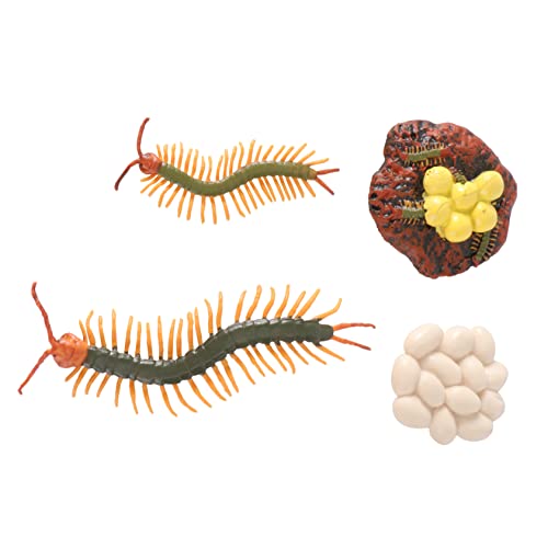 TOYANDONA 2 Sätze Wachstumszyklusmodell Simulation Tausendfüßler Spielzeug Tausendfüßler Modell Spielzeug Spielzeug Für Kinder Kreatur Lernen Bildungsspielzeug Kindermodell Spielzeug TOYANDONA 2 Sätze Wachstumszyklusmodell Simulation Tausendfüßler Spielzeug Tausendfüßler Modell Spielzeug Spielzeug Für Kinder Kreatur Lernen Bildungsspielzeug Kindermodell Spielzeug von TOYANDONA