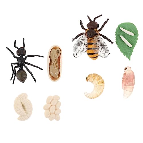 TOYANDONA 2 Sets Wachstumszyklus Modelle Lebenszyklus Tierspielzeug Bienenspielzeug Für Lebenszyklus Für Insektenmodell Wachstumszyklus Lernspielzeug Insektenspielzeug Aus TOYANDONA 2 Sets Wachstumszyklus Modelle Lebenszyklus Tierspielzeug Bienenspielzeug Für Lebenszyklus Für Insektenmodell Wachstumszyklus Lernspielzeug Insektenspielzeug Aus von TOYANDONA