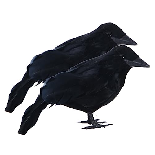 TOYANDONA 2 Stück Realistische Halloween Deko Schwarze Künstliche Krähen aus Kunststoff und Langlebige Spukvogel Dekoration für Party Garten und Innenbereich Gruselige Tisch und TOYANDONA 2 Stück Realistische Halloween Deko Schwarze Künstliche Krähen aus Kunststoff und Langlebige Spukvogel Dekoration für Party Garten und Innenbereich Gruselige Tisch und von TOYANDONA