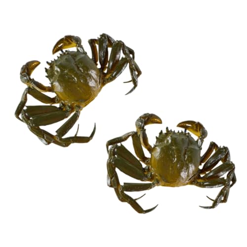 TOYANDONA 2 Stück Realistische Krabbenmodelle aus Dekoratives Meeresfrüchte Lebensechte Künstliche Krabbenfiguren für Aquarium Terrarium Büro und Partydeko von TOYANDONA