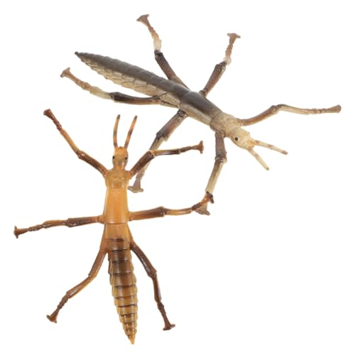 TOYANDONA 2 Stück Simulation Stick Insects Modell Pädagogisches Insekten für Lernen Naturforscher Zubehör Figurinen für Spiel und Dekoration TOYANDONA 2 Stück Simulation Stick Insects Modell Pädagogisches Insekten für Lernen Naturforscher Zubehör Figurinen für Spiel und Dekoration von TOYANDONA