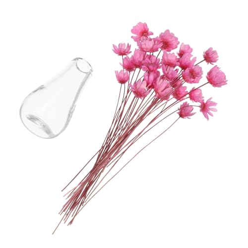 TOYANDONA 2 Stück Teiliges Miniatur Blumenvasen aus Glas mit Getrockneten Blumen Winzige Mini Blumentöpfe für Puppenhaus Deko DIY Basteln und Kleine Künstliche Pflanzenarrangements TOYANDONA 2 Stück Teiliges Miniatur Blumenvasen aus Glas mit Getrockneten Blumen Winzige Mini Blumentöpfe für Puppenhaus Deko DIY Basteln und Kleine Künstliche Pflanzenarrangements von TOYANDONA