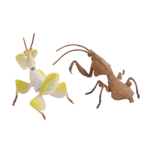 TOYANDONA 2 Stücke Naturgetreue Insekten Skulpturen für Garten Dekoration Lernspielzeug für Familienaktivitäten für Schul und Museumseinsatz TOYANDONA 2 Stücke Naturgetreue Insekten Skulpturen für Garten Dekoration Lernspielzeug für Familienaktivitäten für Schul und Museumseinsatz von TOYANDONA