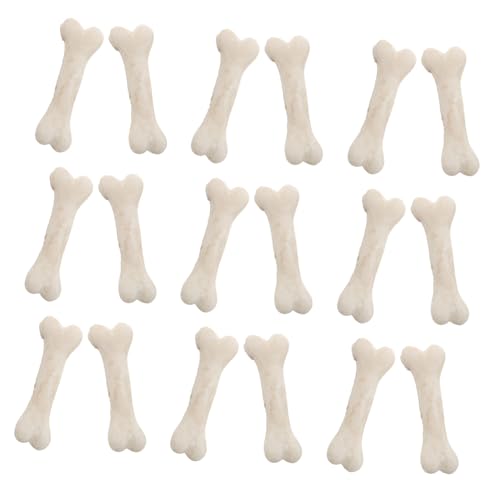 TOYANDONA 20 Stück Teiliges Mini Knochenmodell aus Hochwertigem Resin Realistische Kleine Hundeknochen Halloween Deko und DIY Zubehör für Miniaturlandschaften Kreatives TOYANDONA 20 Stück Teiliges Mini Knochenmodell aus Hochwertigem Resin Realistische Kleine Hundeknochen Halloween Deko und DIY Zubehör für Miniaturlandschaften Kreatives von TOYANDONA