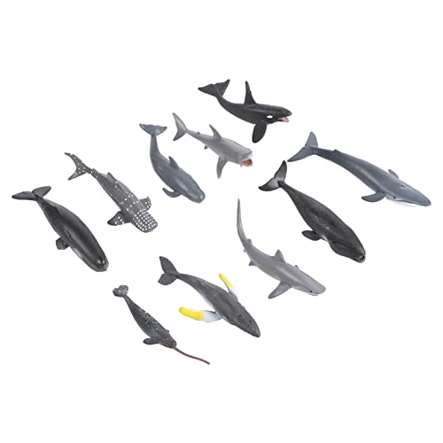 TOYANDONA 24St Tiermodell für kinderspielzeug badespielzeug Toys for badspielzeuge Kid Toys für Meerestiere Simulation Wal Figur Bildungsspielzeug Plastik TOYANDONA 24St Tiermodell für kinderspielzeug badespielzeug Toys for badspielzeuge Kid Toys für Meerestiere Simulation Wal Figur Bildungsspielzeug Plastik von TOYANDONA