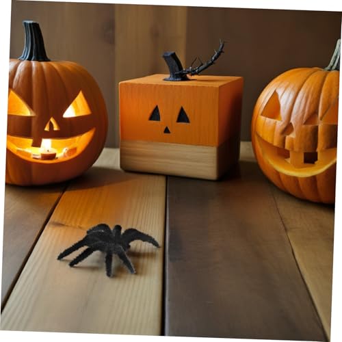 TOYANDONA 25 Stück Teiliges Halloween Deko Flockige Spinnen mit Haaren Realistische Schwarze Spinnen für Innen und Außen Leichte Vielseitige Gruselige Deko für Halloween Party Geisterhaus TOYANDONA 25 Stück Teiliges Halloween Deko Flockige Spinnen mit Haaren Realistische Schwarze Spinnen für Innen und Außen Leichte Vielseitige Gruselige Deko für Halloween Party Geisterhaus von TOYANDONA